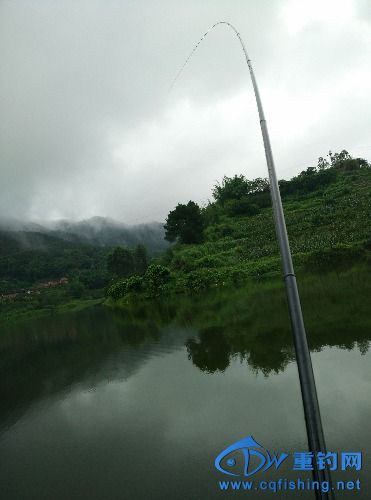 IMG_20150704_113718.jpg