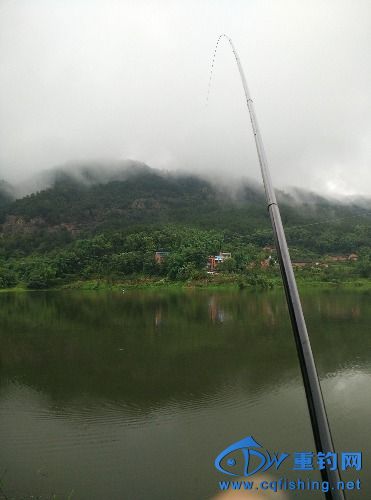 IMG_20150704_113839.jpg