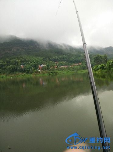 IMG_20150704_113841.jpg