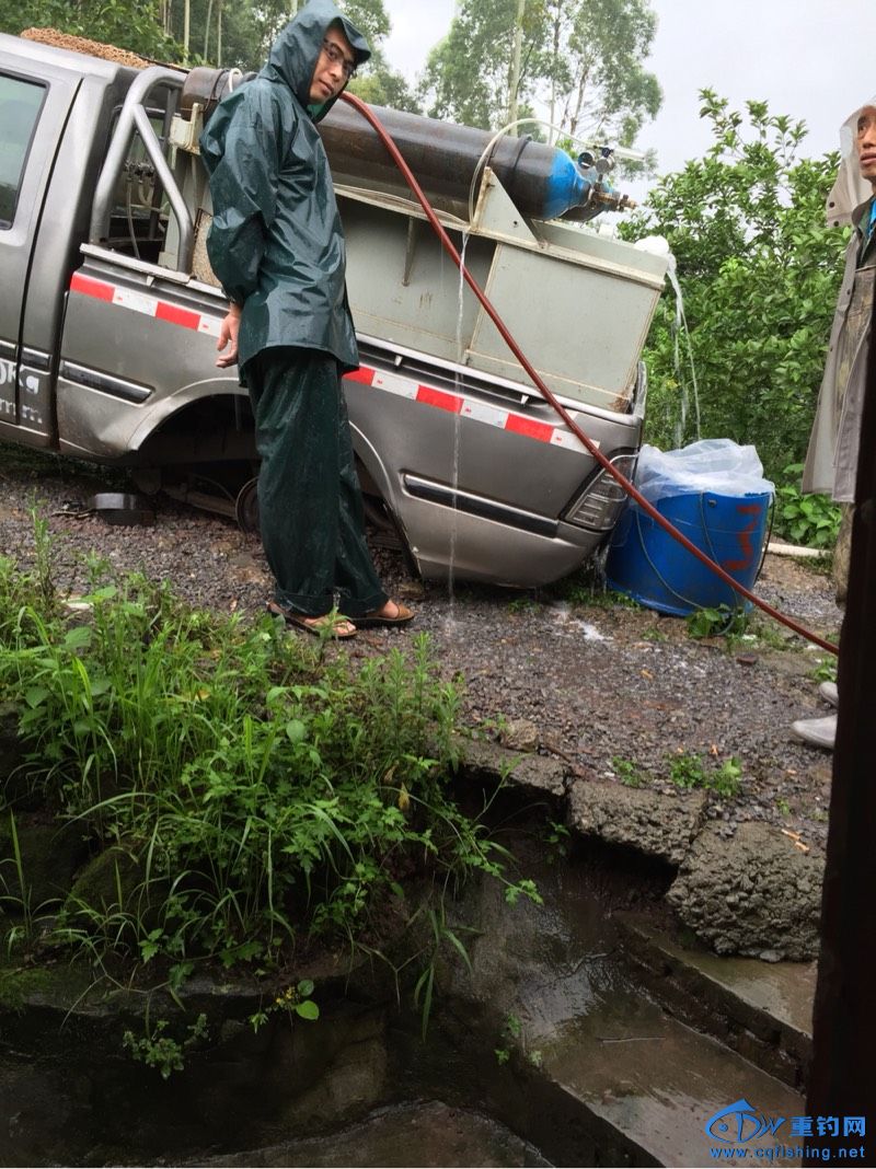 165918tt90d3lvdyfg096v.jpg