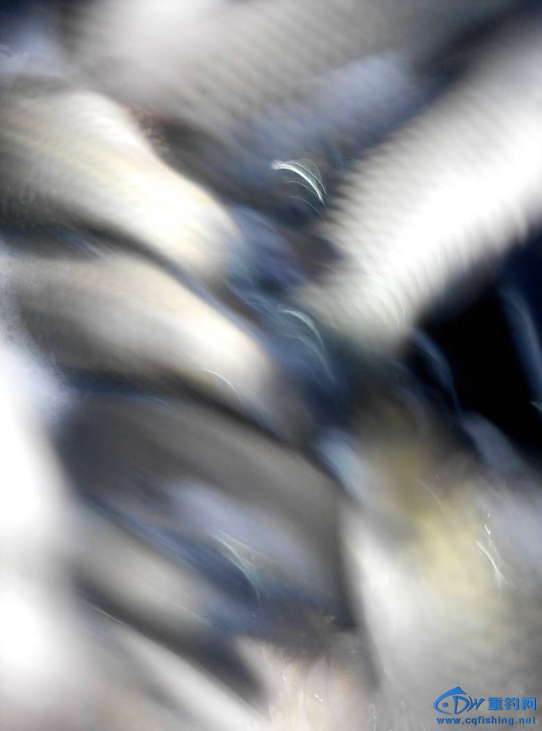 092746a1wwqikwsr5q16mf.jpg