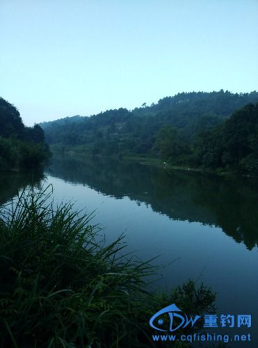 IMG_20150712_074137.jpg