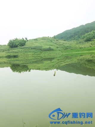 9.JPG