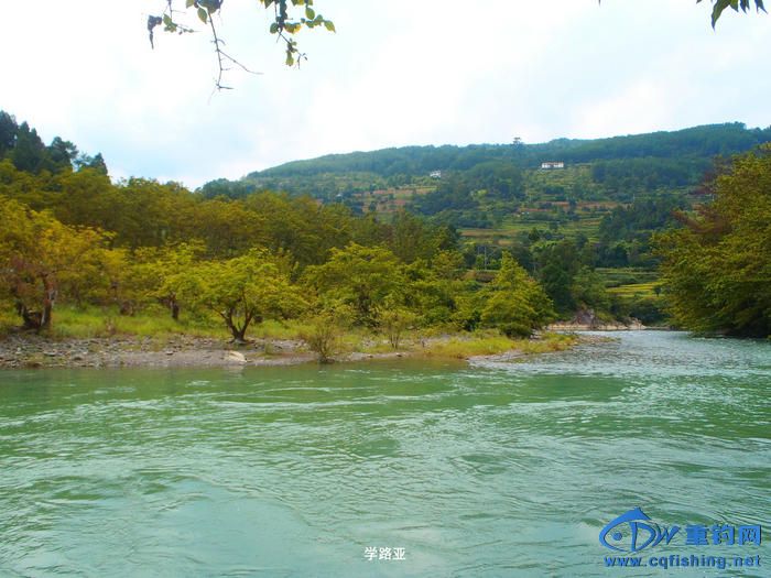 P8311104.JPG