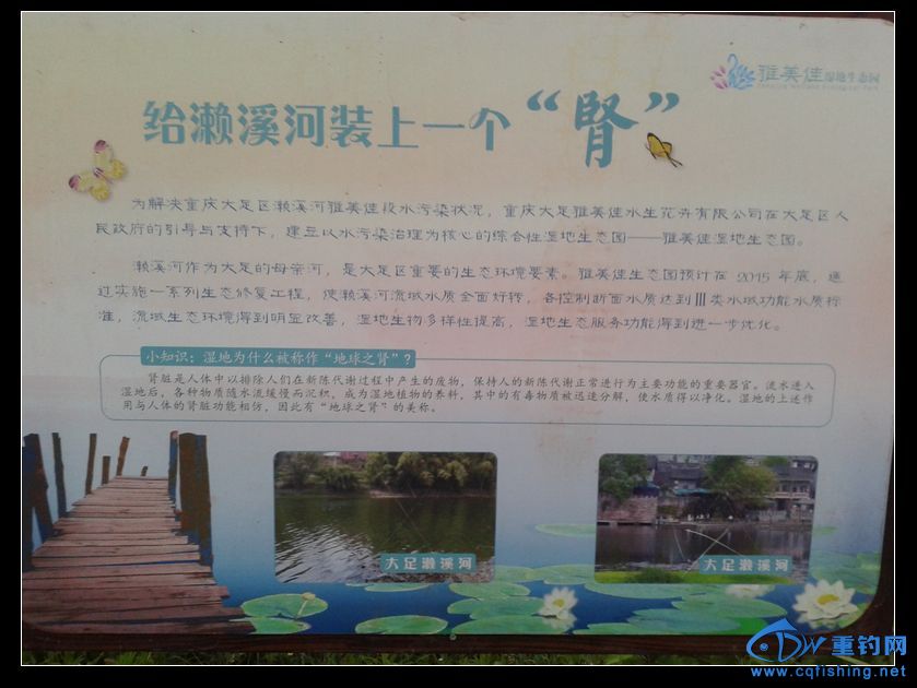 nEO_IMG_20150713_195255.jpg
