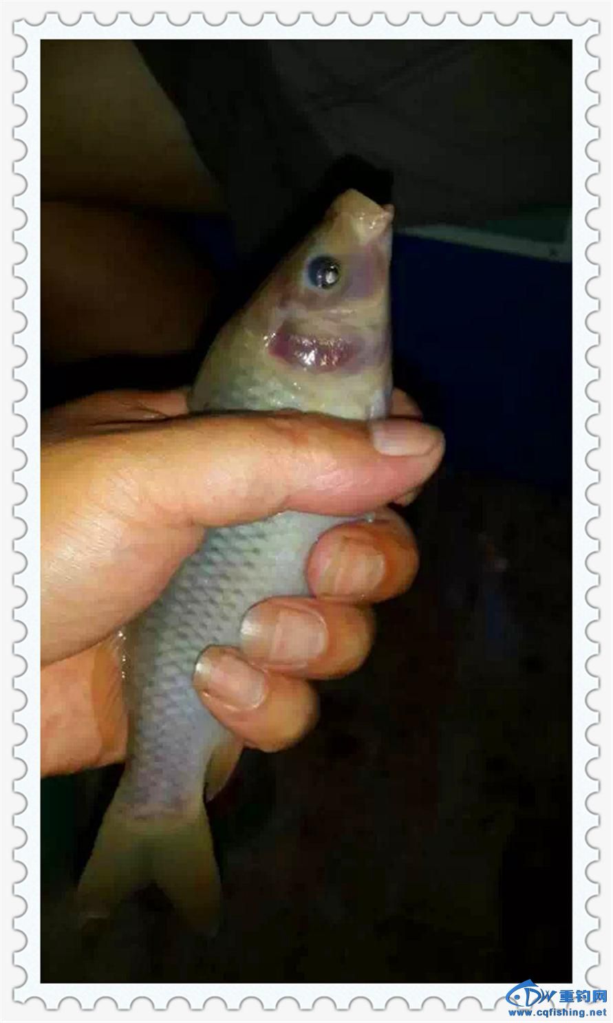 53.JPG