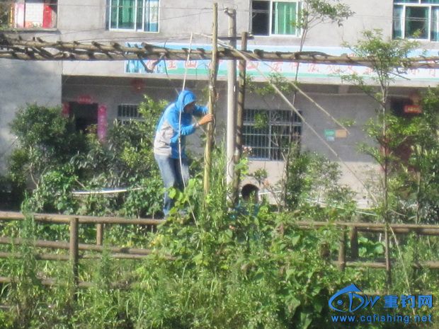 Ƭ 4576_С.jpg