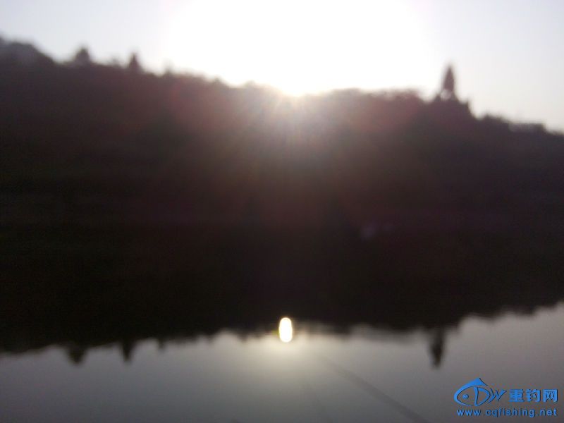 IMG_20150718_072017.jpg