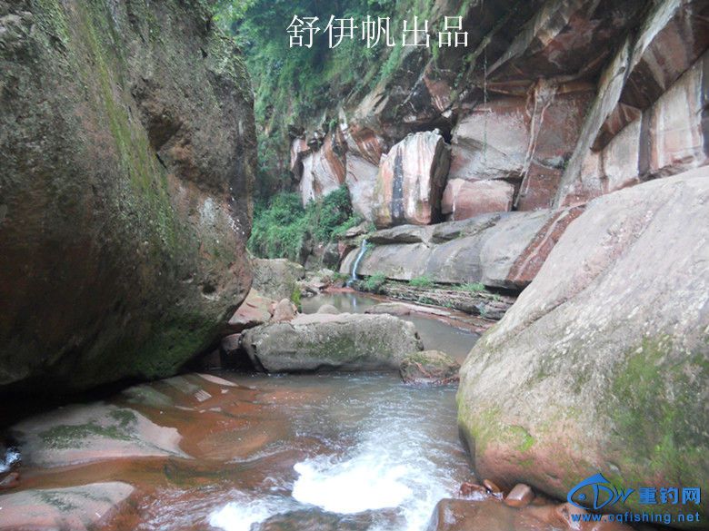 照片 010.jpg