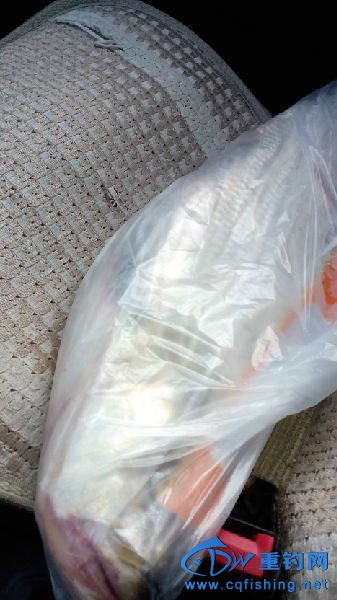 IMG_20150707_181002.jpg