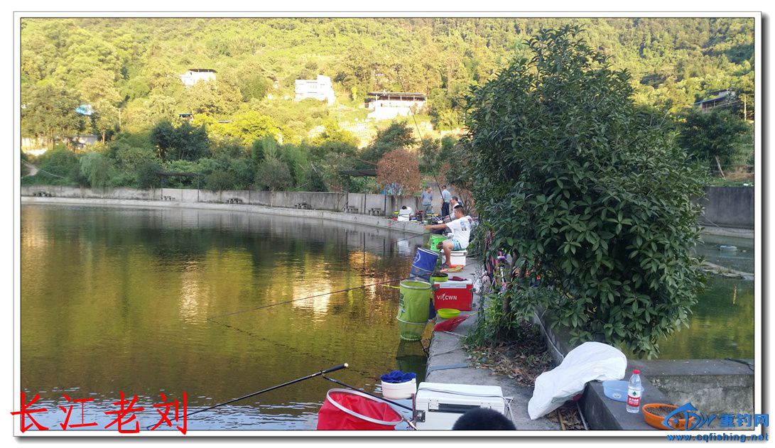 20150803_190041.jpg