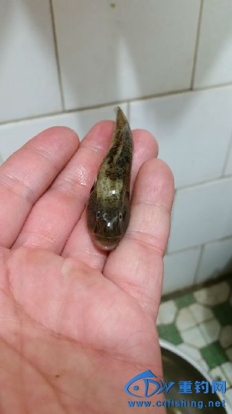 20150512_194504.jpg