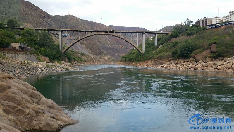 20150608_180430.jpg