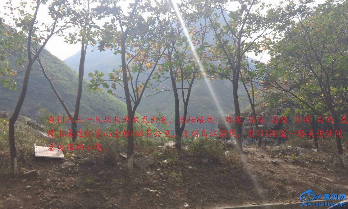 005007kgad3pkhp737qgaa.jpg