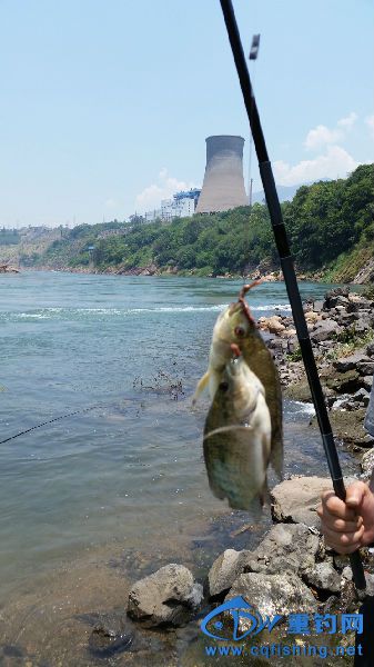 20150620_124054.jpg