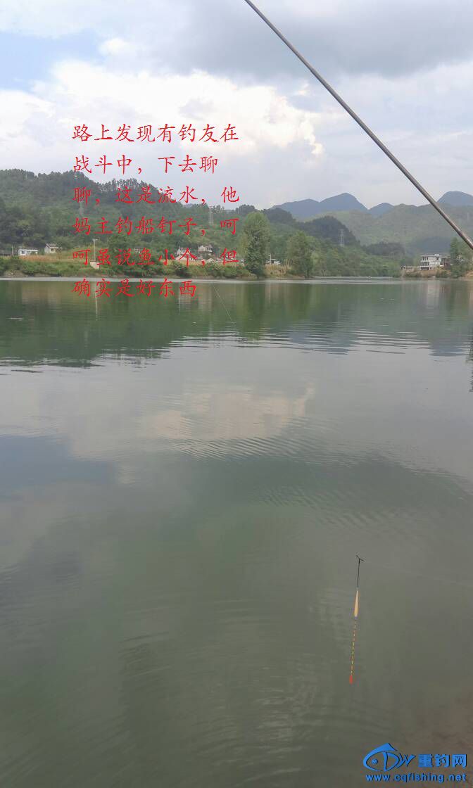 005011sosssw6tos7bxn77.jpg