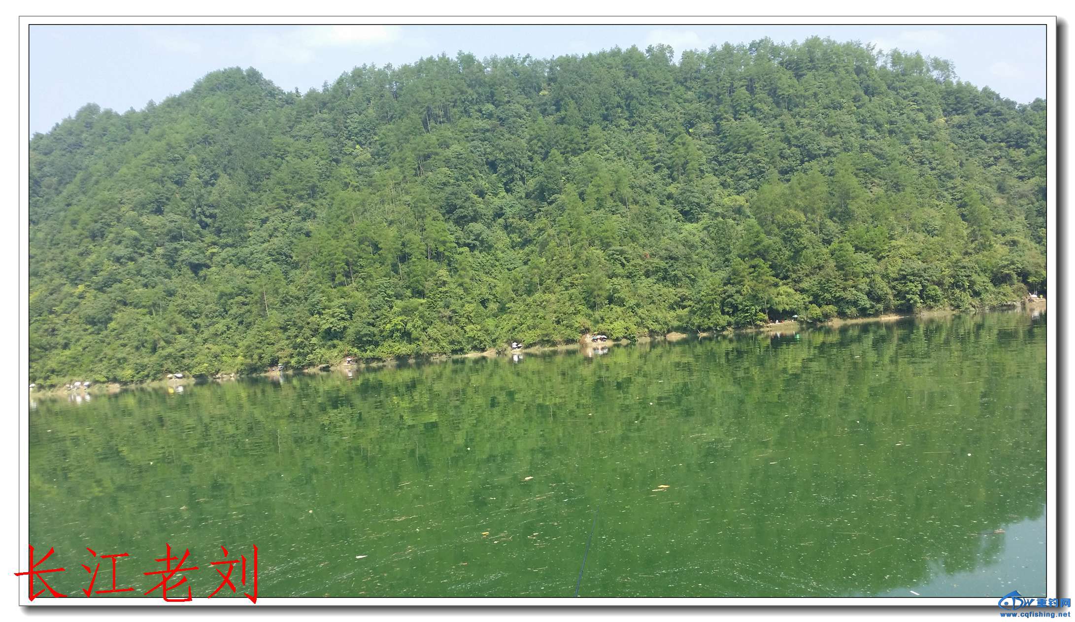 20150809_095429.jpg