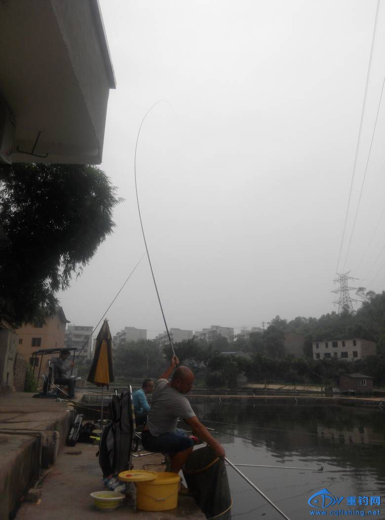 160633vlw1dr111ysunkwn.jpg