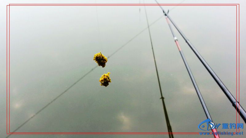 20150123_100351.jpg