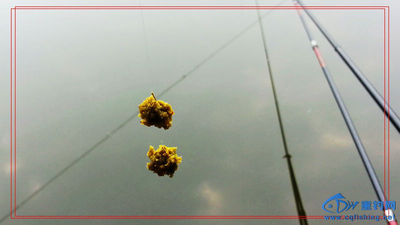20150123_100356.jpg