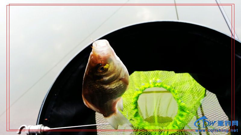 20150123_103802.jpg
