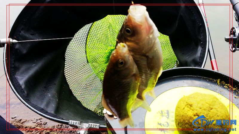 20150123_122132.jpg