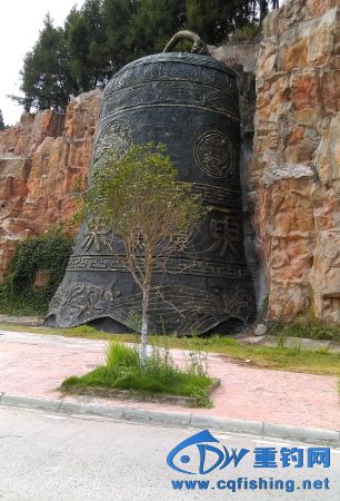 IMAG0840.JPG