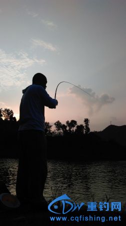 IMAG0917.JPG