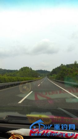 IMAG0794.JPG