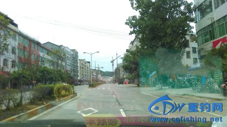 IMAG0806.JPG