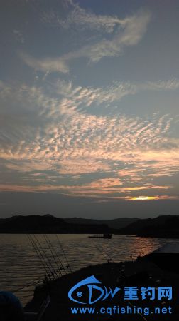 IMAG0865.JPG