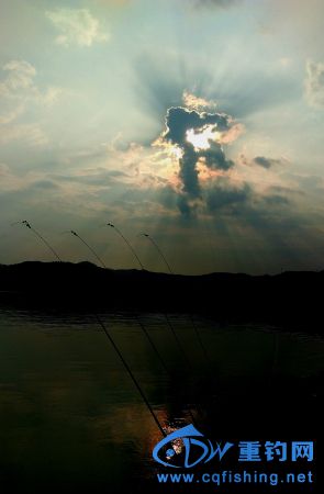 IMAG0904_1.JPG