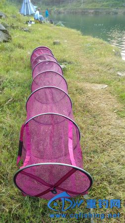 IMAG0909.JPG