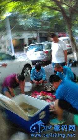 IMAG0944.JPG