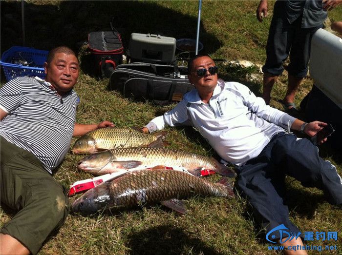QQͼƬ20150822100902.jpg