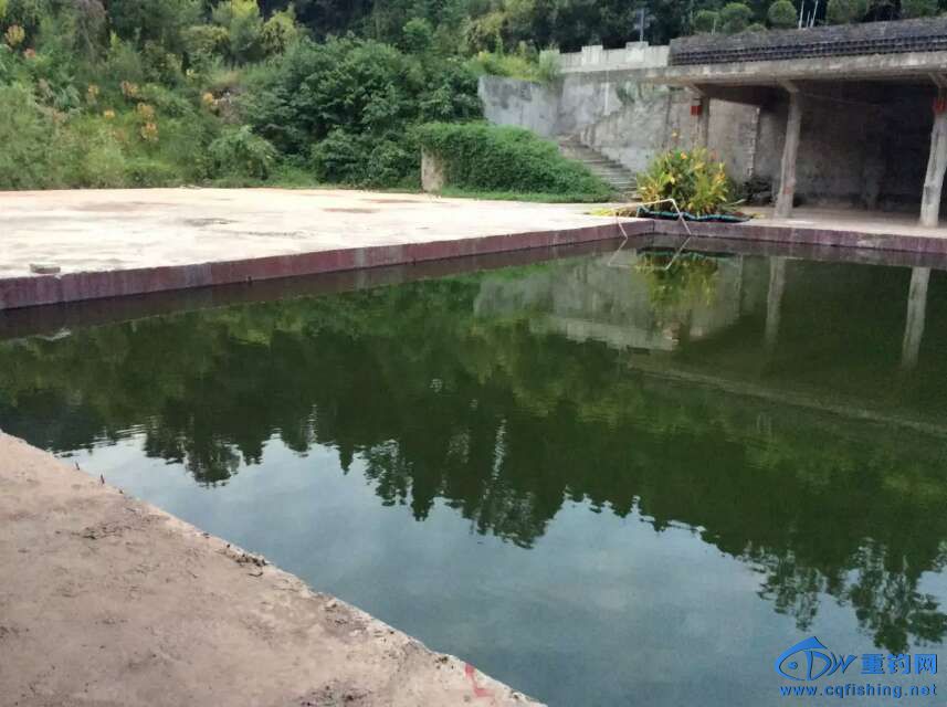 λ08.jpg