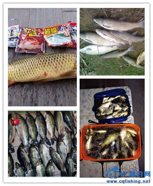 QQͼƬ20150826101502_.jpg