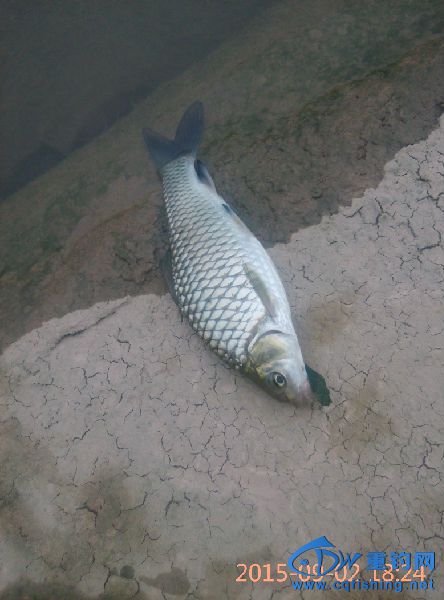 ನ