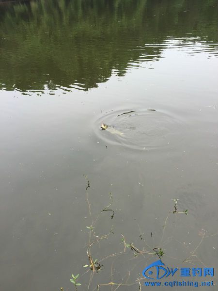 IMG_2721.JPG