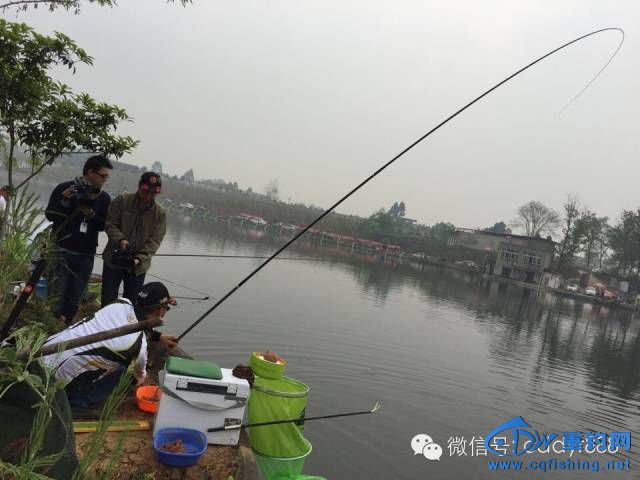 20150910_124959_168.jpg