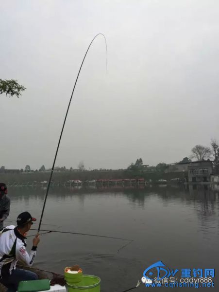 20150910_124959_170.jpg