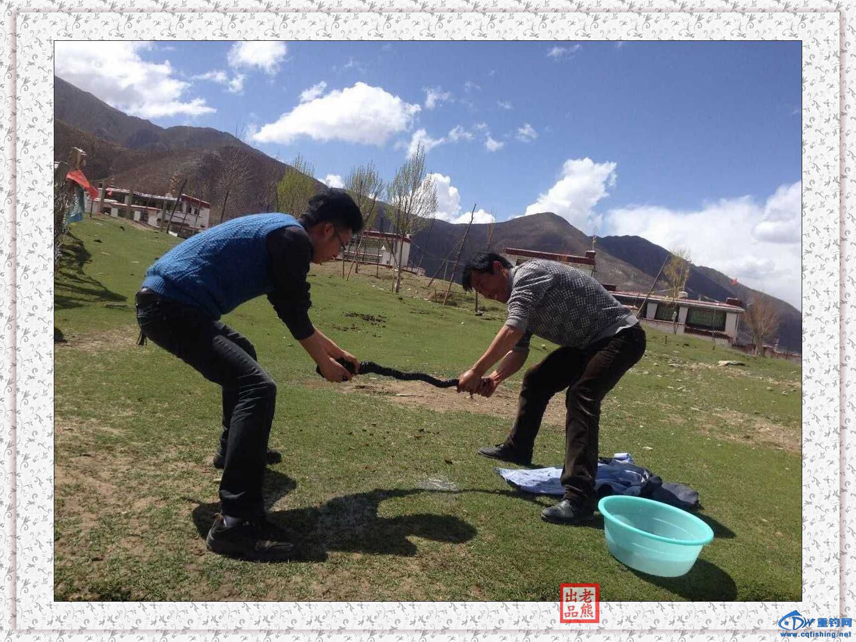 QQͼƬ20150501203017.jpg