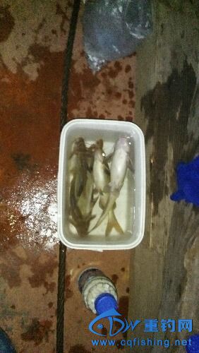 IMG20150912220045.jpg