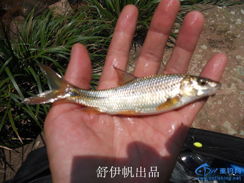 照片 055.jpg