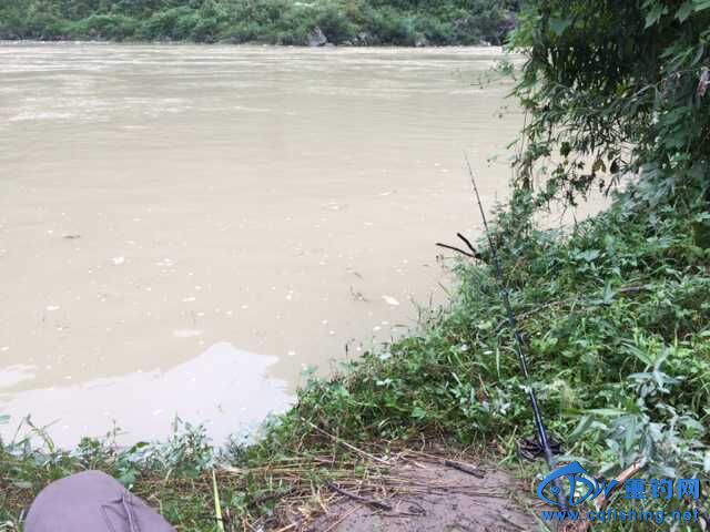QQͼƬ20150921101759.jpg