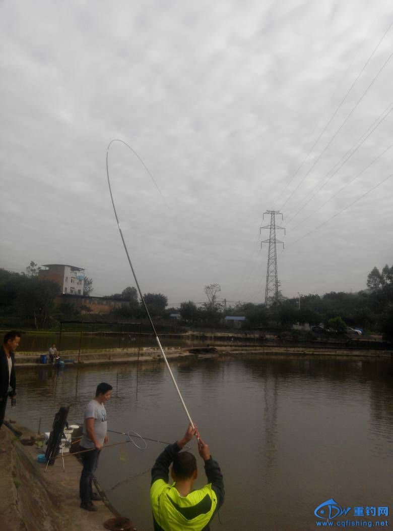 085027p1ajz8jmfo31aim7.jpg