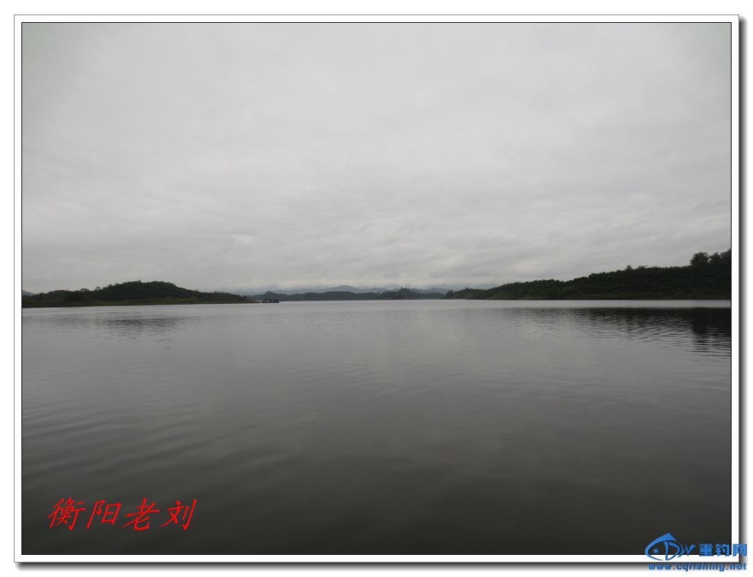 IMG_2840.jpg