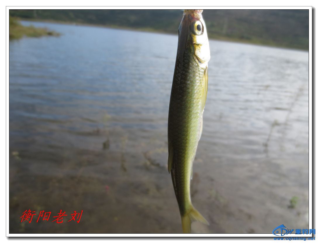 IMG_2875.jpg