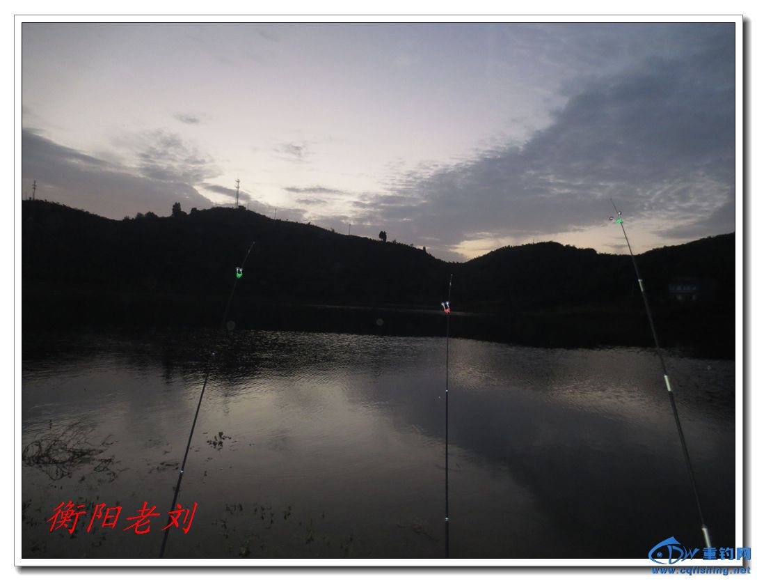 IMG_2856.jpg