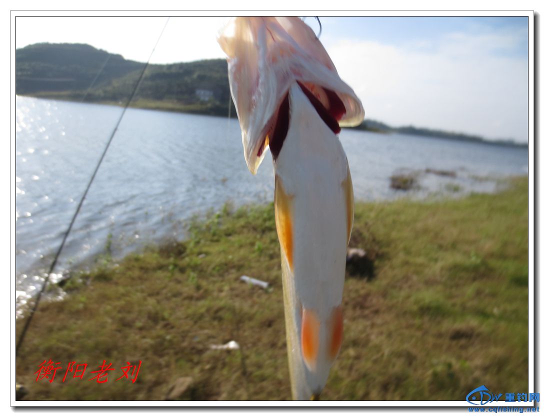 IMG_2870.jpg